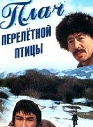 Пробираясь домой
